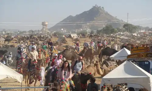 Pushkar Camel Safari